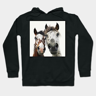 Curious Horses Hoodie